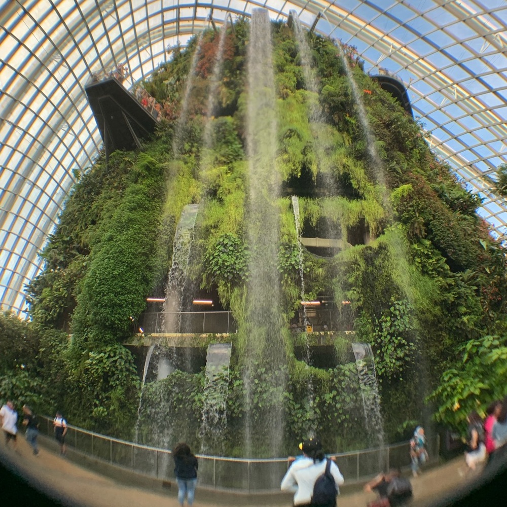 Meet your Posher, Shama